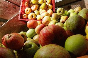 <font size=+1>11.Oktober 2026 – Streuobsttag im Schloss</font>